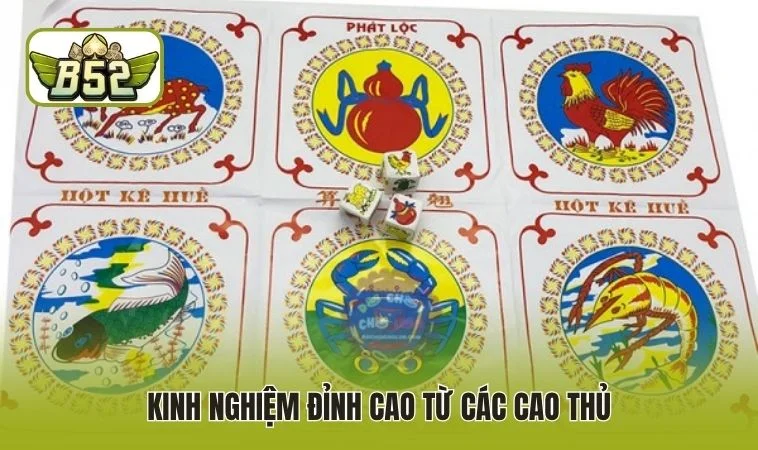 Kinh nghiệm đỉnh cao từ các cao thủ
