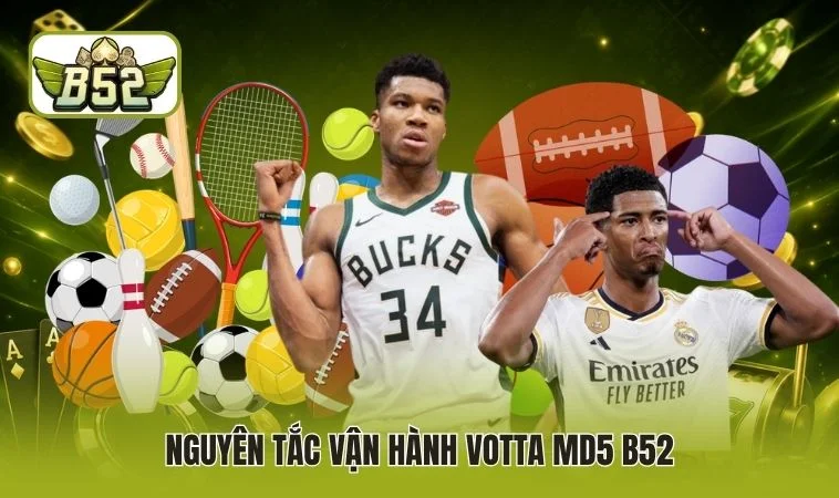 Nguyên tắc vận hành Votta MD5 B52